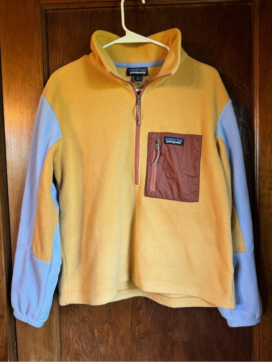 Patagonia Sweaters - Patagonia cropped micro dini fleece